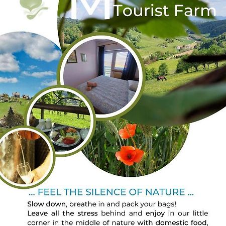 Masnec Tourist Farm Villa Miljana Buitenkant foto