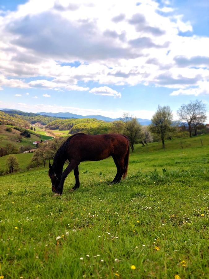 Masnec Tourist Farm Villa Miljana Buitenkant foto